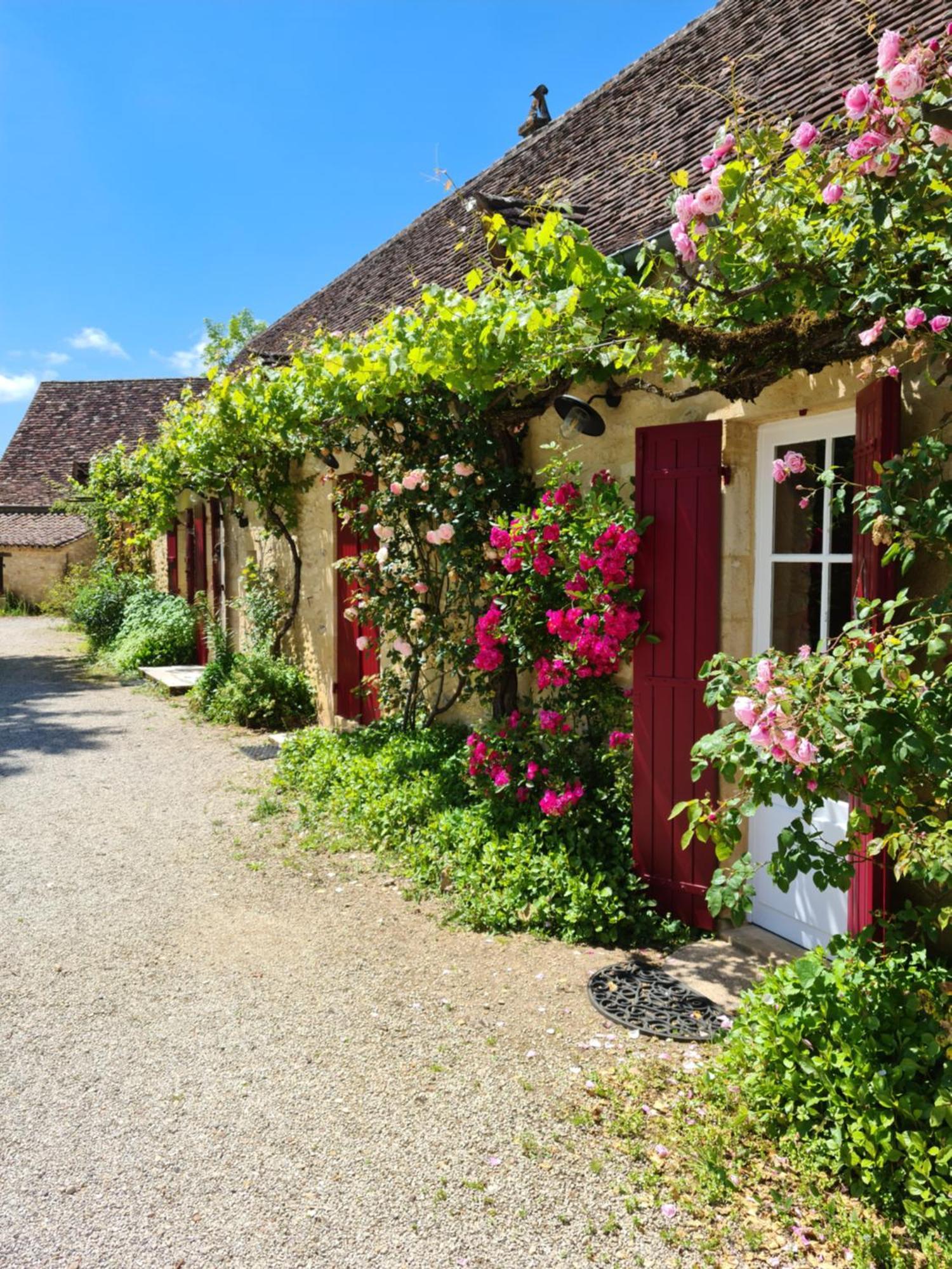 La Ferme De L'Embellie Gites Et Chambres D'Hotes Le Buisson-de-Cadouin Екстер'єр фото